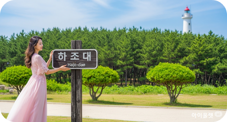 하조대 표지석과 주변 소나무 숲, 등대가 함께 보이는 장면