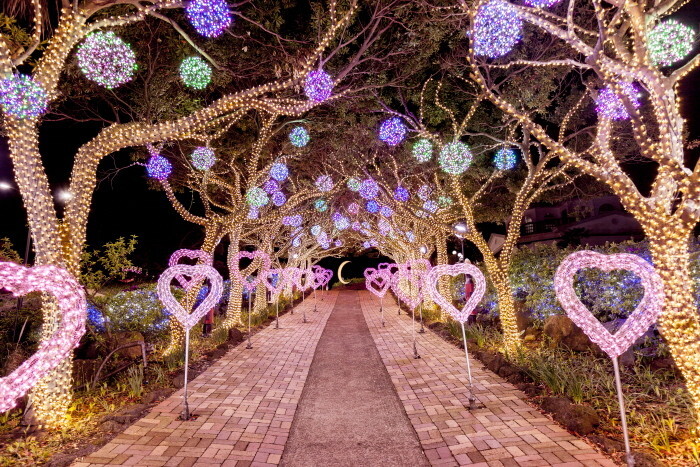 허브동산 별빛놀이