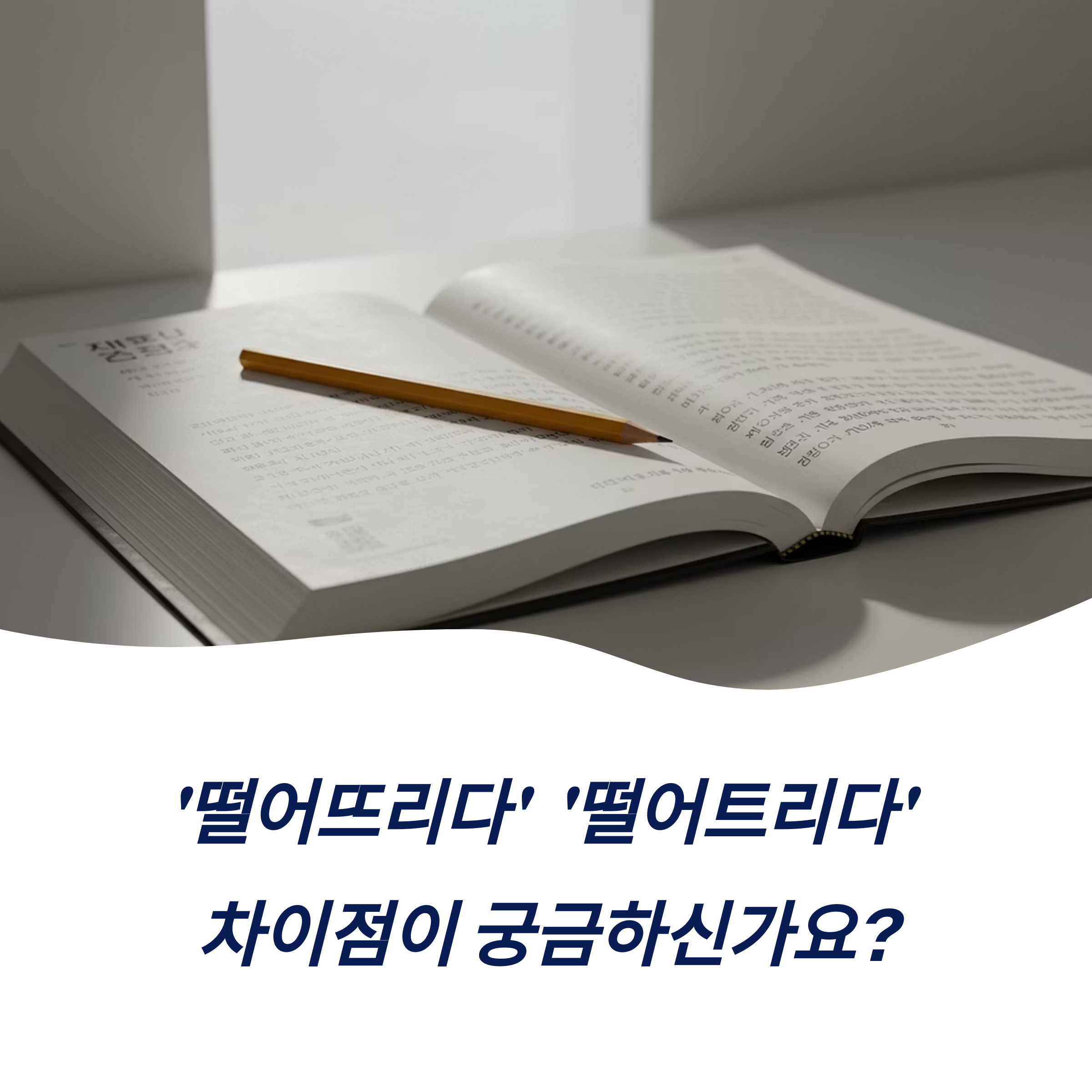 떨어뜨리다 떨어트리다 맞춤법 예시 표준어 규정