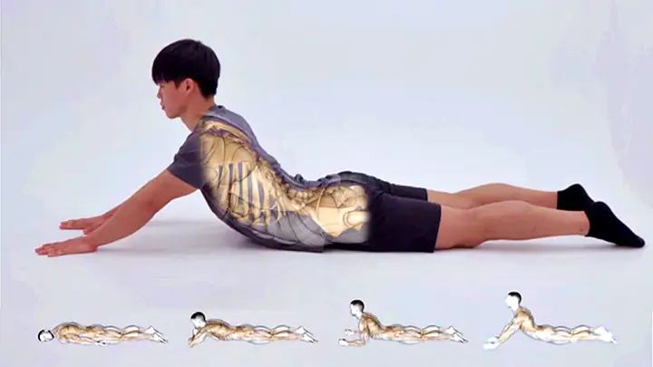 명의 허리통증 치료 디스크 수술 없이 낫게하는 자세 치료법 재활의학과 정선근 교수