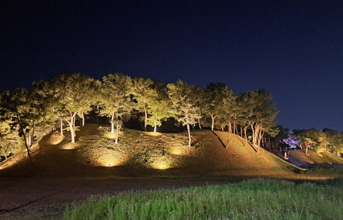 1월에 떠나기 좋은 국내여행지 경상도 겨울 여행지 3곳 경주 통영 산청 추천