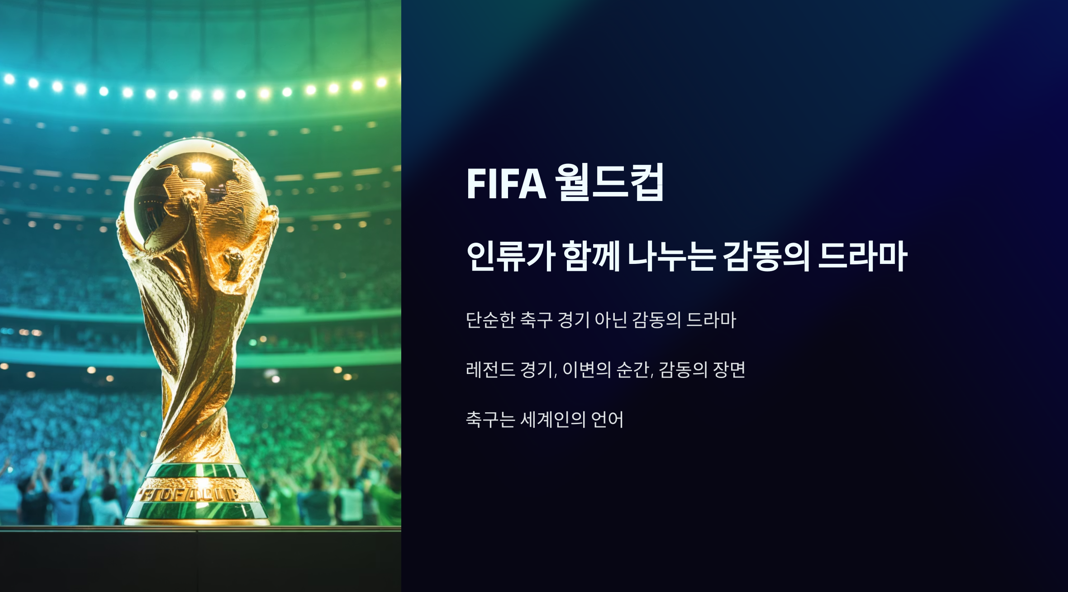 FIFA월드컵
