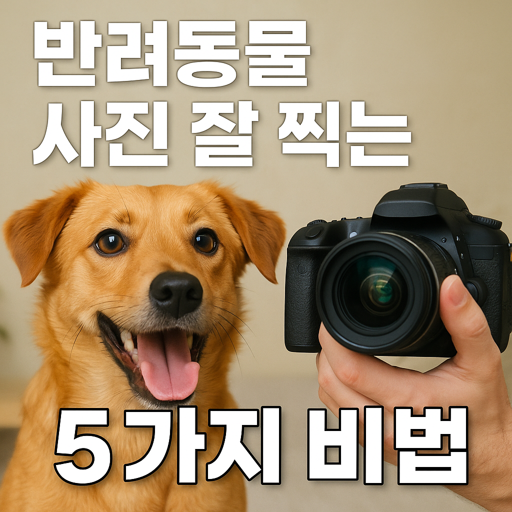반려동물 사진 잘 찍는 5가지 비법