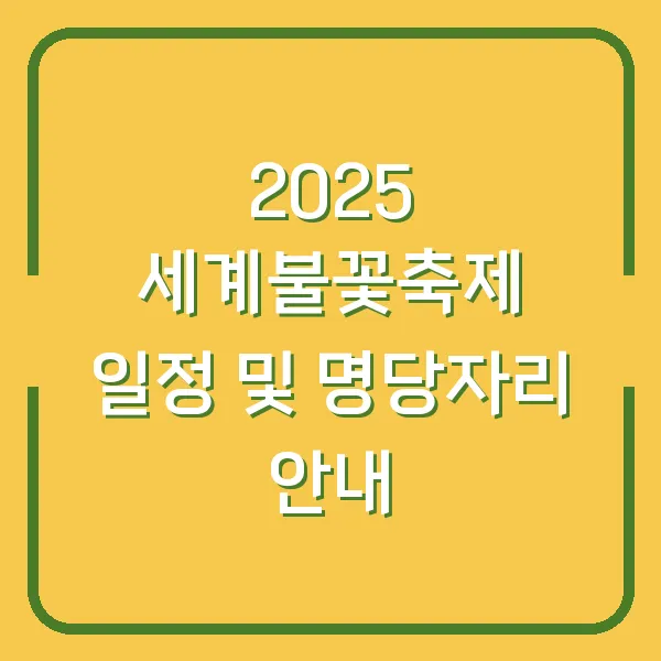 2025 세계불꽃축제 일정 및 명당자리 안내