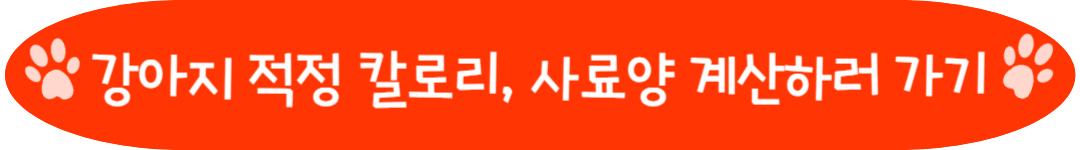 강아지 적정 칼로리와 사료양 계산하기