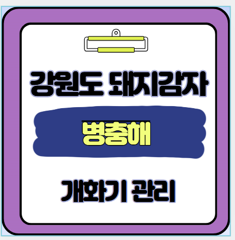돼지감자 병충해와 개화기 관리