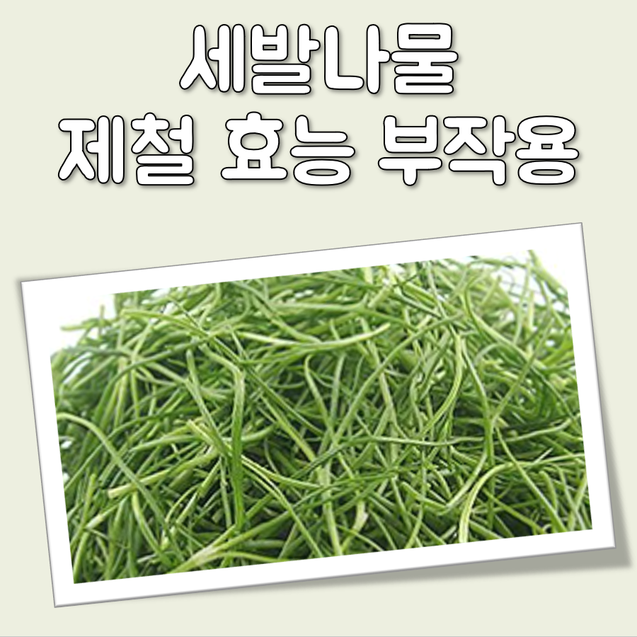 세발나물 제철과 효능 및 부작용 대표 이미지