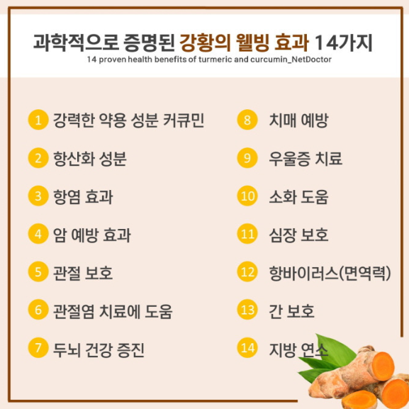 커큐민 효능