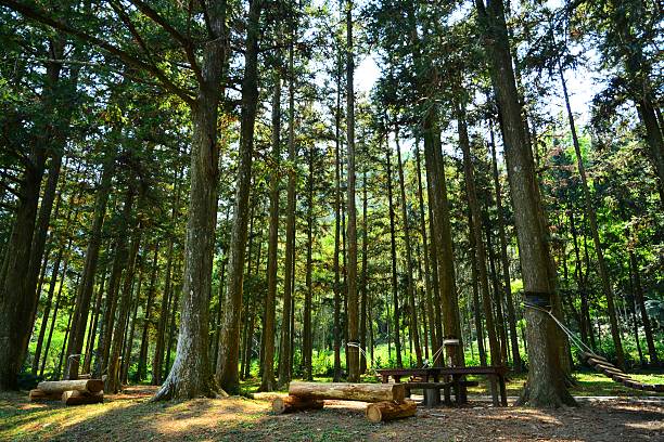 휴양림 예약사이트1