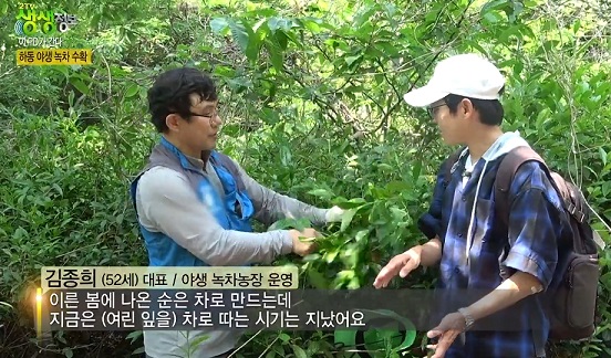 한국기행-하동-녹차-냉면-김종희