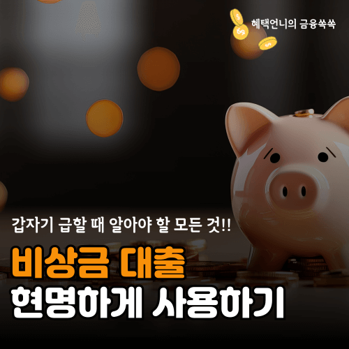비상금 대출 현명하게 사용하기