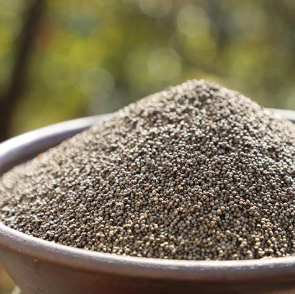 들깨 1말은 몇kg? (참깨, 쌀, 콩, 떡, 페인트) 들깨 1말은 몇kg? (참깨, 쌀, 콩, 떡, 페인트)