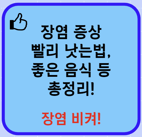 장염 빨리낫는법 장염 증상 좋은 음식 알아보기(24년 Ver)