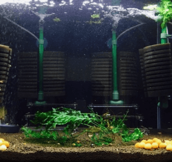 스펀지 여과기&amp;#44; 저면 여과기 차이점