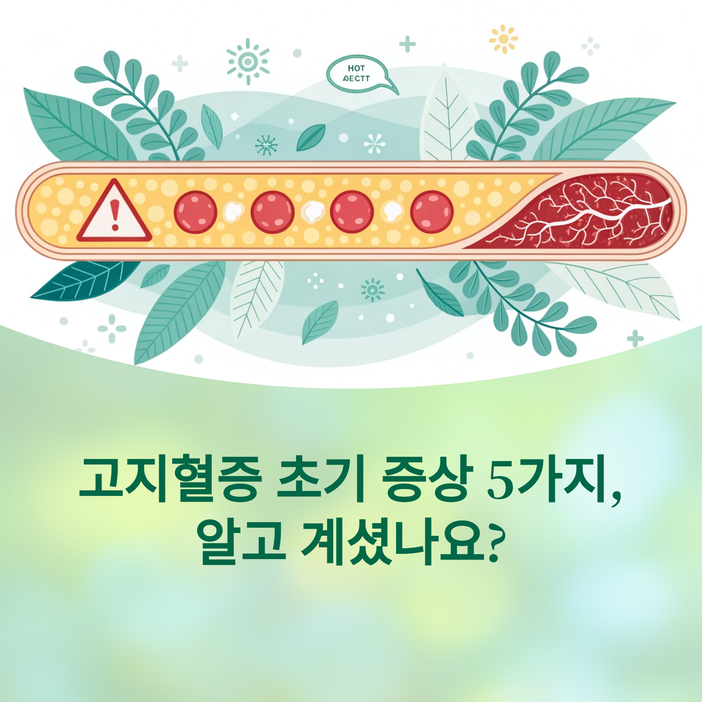 고지혈증 초기 증상 5가지에 대한 이미지