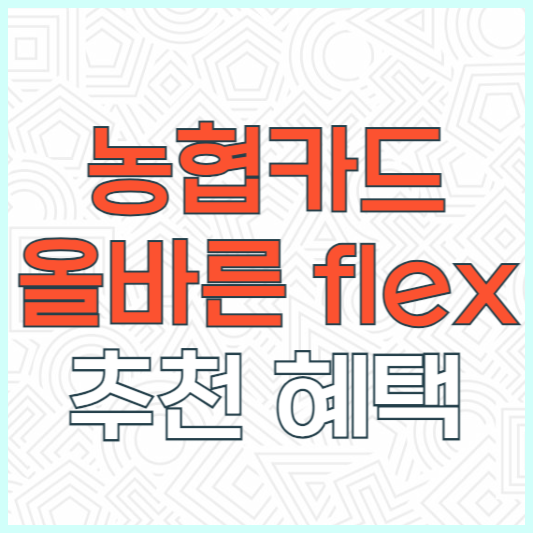 농협카드 올바른 플렉스 카드 후기 추천