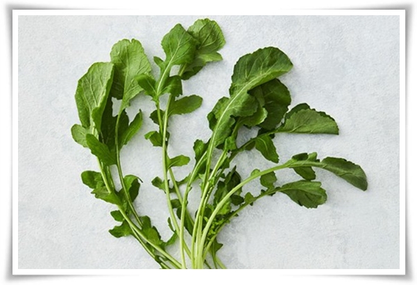 "텃밭, 4월에 심기 좋은 작물" 상추 시금치 열무 쑥갓 케일 루꼴라 당근 비트 무 감자 완두콩 땅콩 녹두 ...