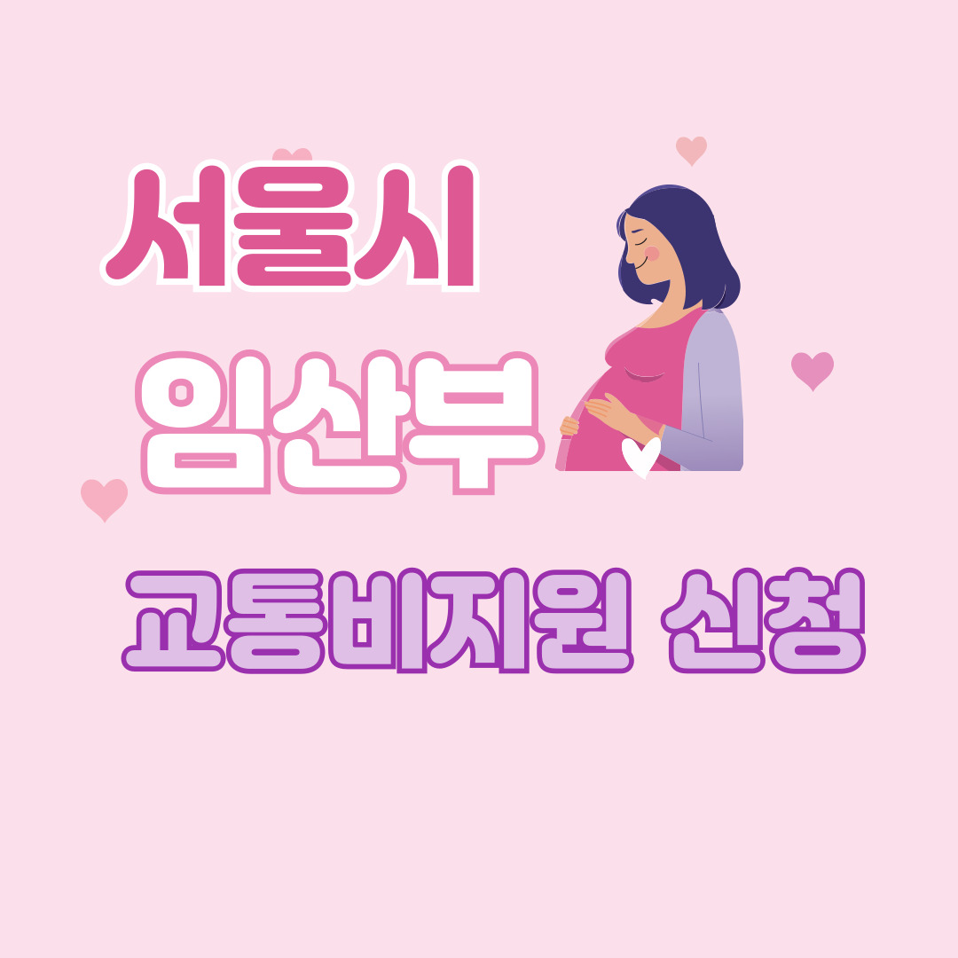 서울시 임산부 교통비 지원사업
