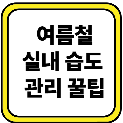 실내 적정습도는 몇 %일까? 쾌적한 생활을 위한 5가지 핵심 팁