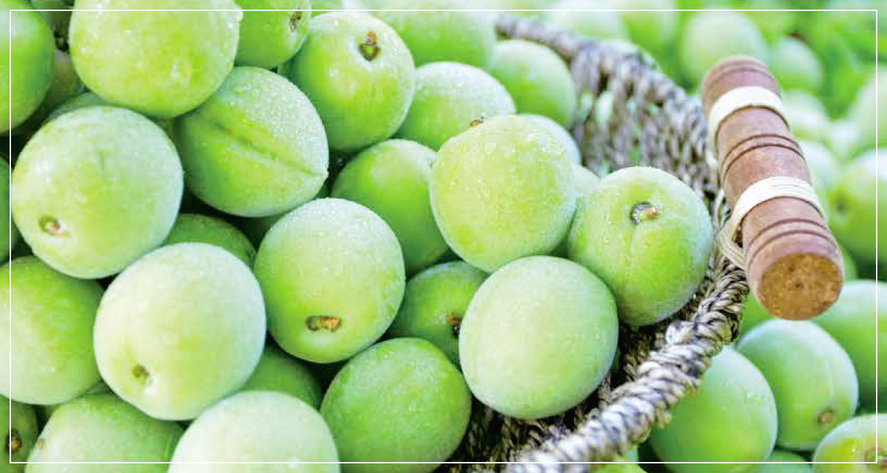 구내염에-좋은-음식