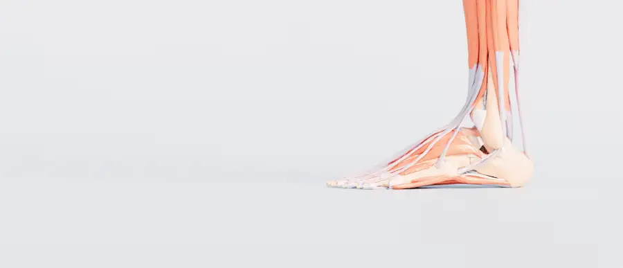 만성 발목 불안정성(CAI)과 최신 치료법: 비수술 및 수술적 접근