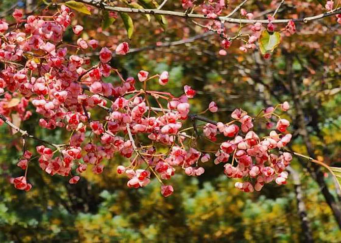 황부자 며느리공원