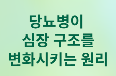 당뇨병이 심장을 망가뜨리는 놀라운 이유