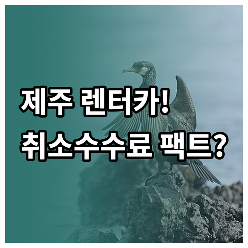 제주 렌터카 이용 시 자주 묻는 질문..