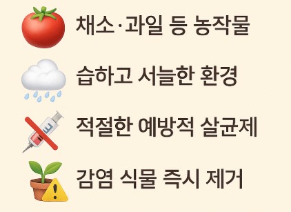 노균병에 취약한 식물 원인및 예방 사진