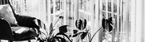 식물 키우기: 반음지