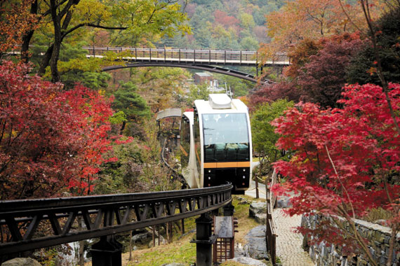 화담숲 모노레일 예약 방법