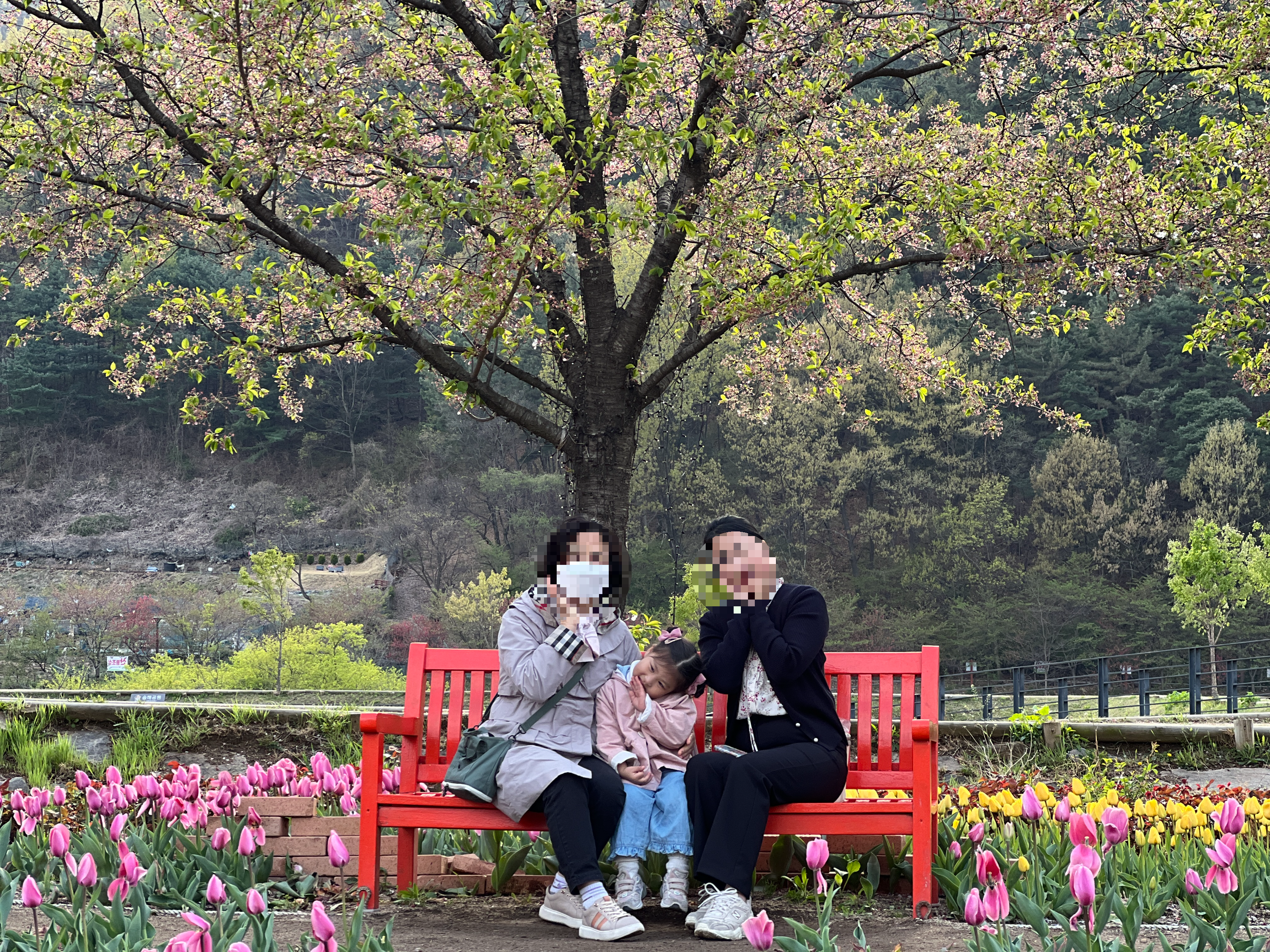 엄마 , 딸, 손녀와 튤립에서 사진