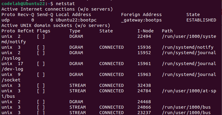 netstat 예시