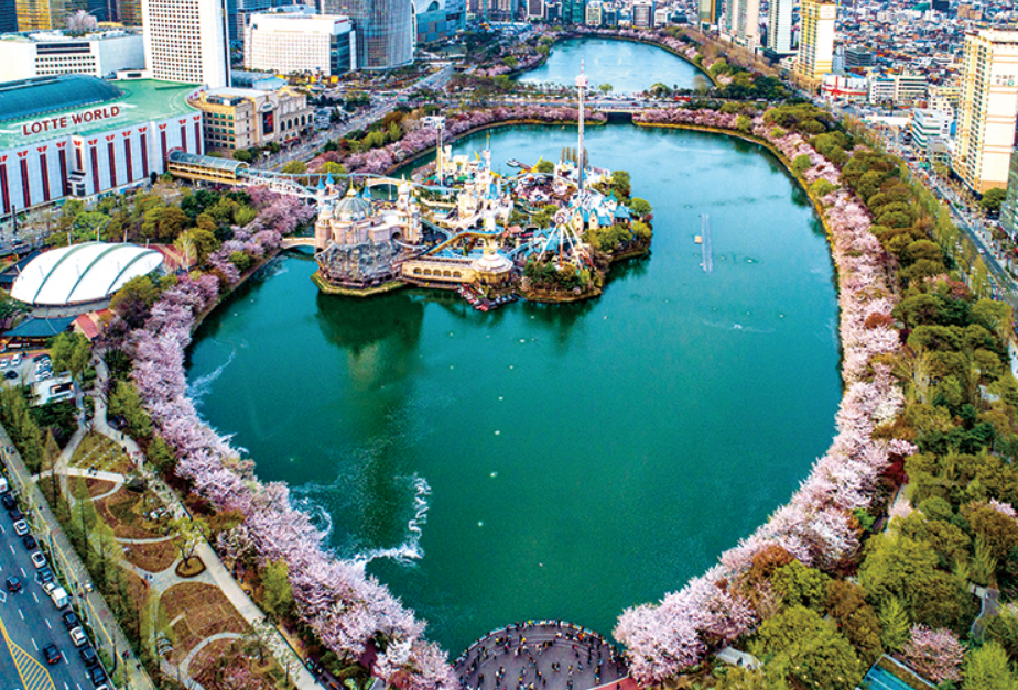 롯데월드와 석촌호수 그 주위에 둘러쌓인 벚꽃나무들