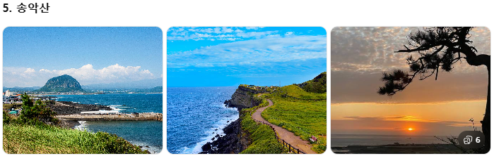 렌터카보다 효율적인 제주 관광택시, 중형·대형 제주택시투어 비교! 1일 코스별 예산 가이드