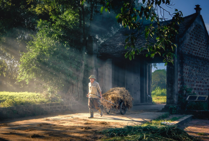로컬 직업의 매력 – 서울 밖에서 살아남는 직업들