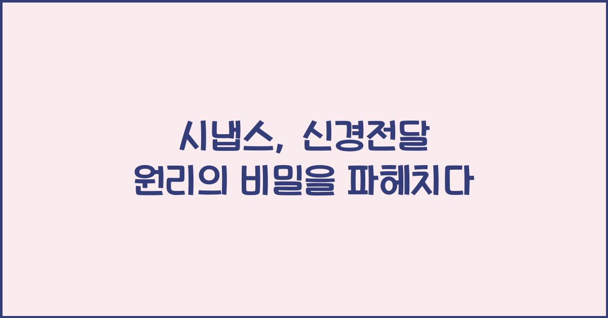 시냅스, 신경전달 원리