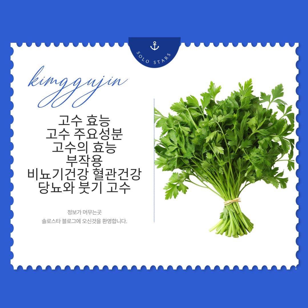 고수 사진