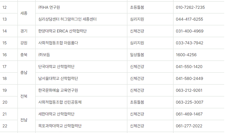 청년사회서비스 사업단 현황입니다.