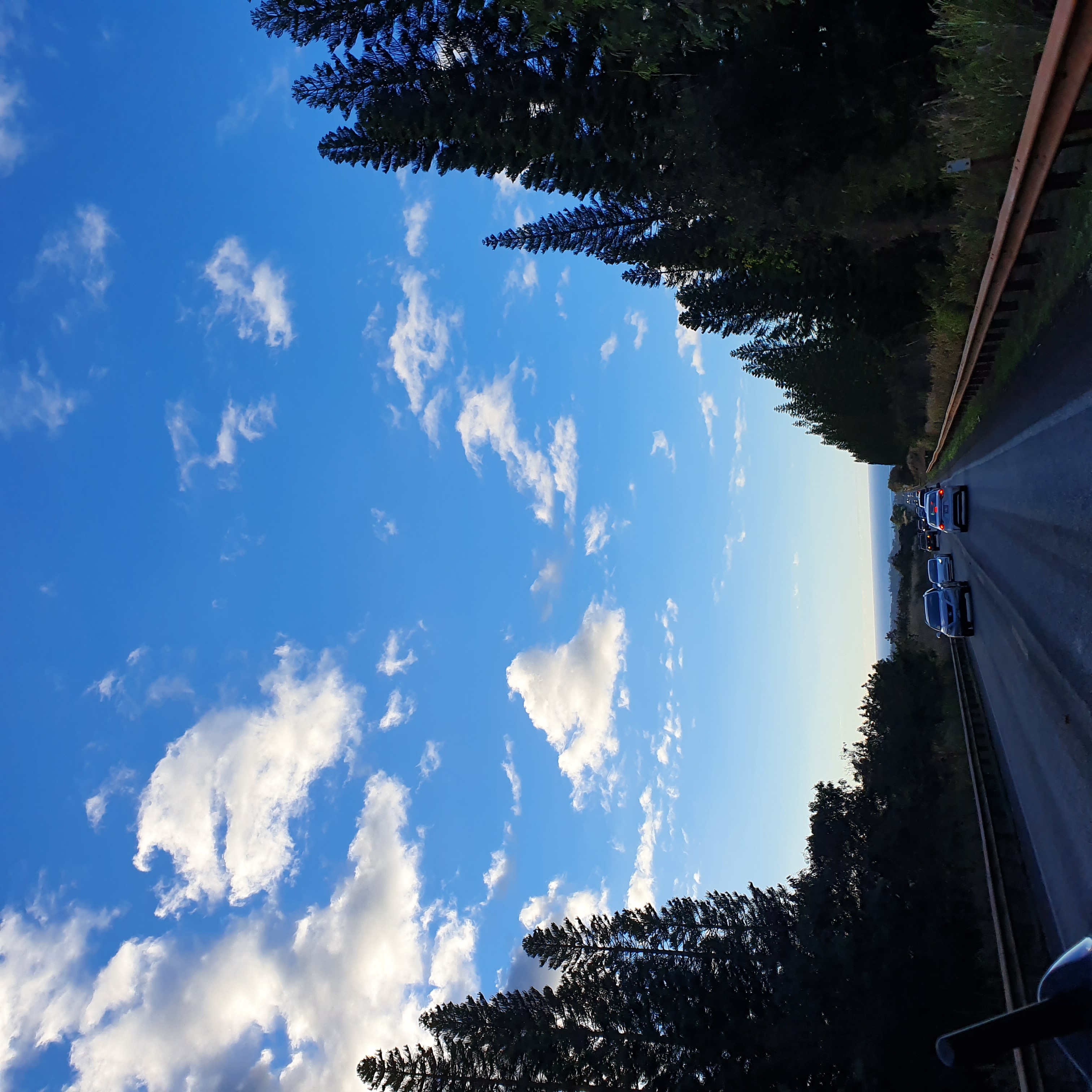 하와이 빅아일랜드 아웃트리거 리조트 수영장 코나 공항 오하우 돌 파인애플 농장 힐튼 가든인 와이키키 비치 졸리비