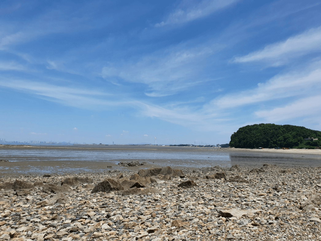 구봉솔숲 해수욕장 (안산시)