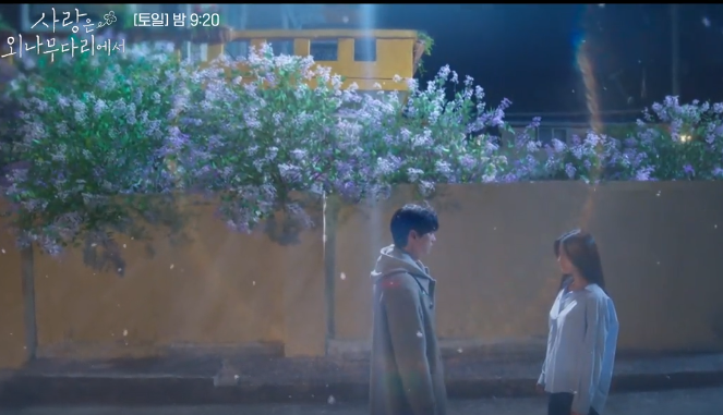 사랑은 외나무다리에서 재방송