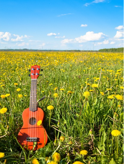하와이에서 온 현악기,우쿨렐레