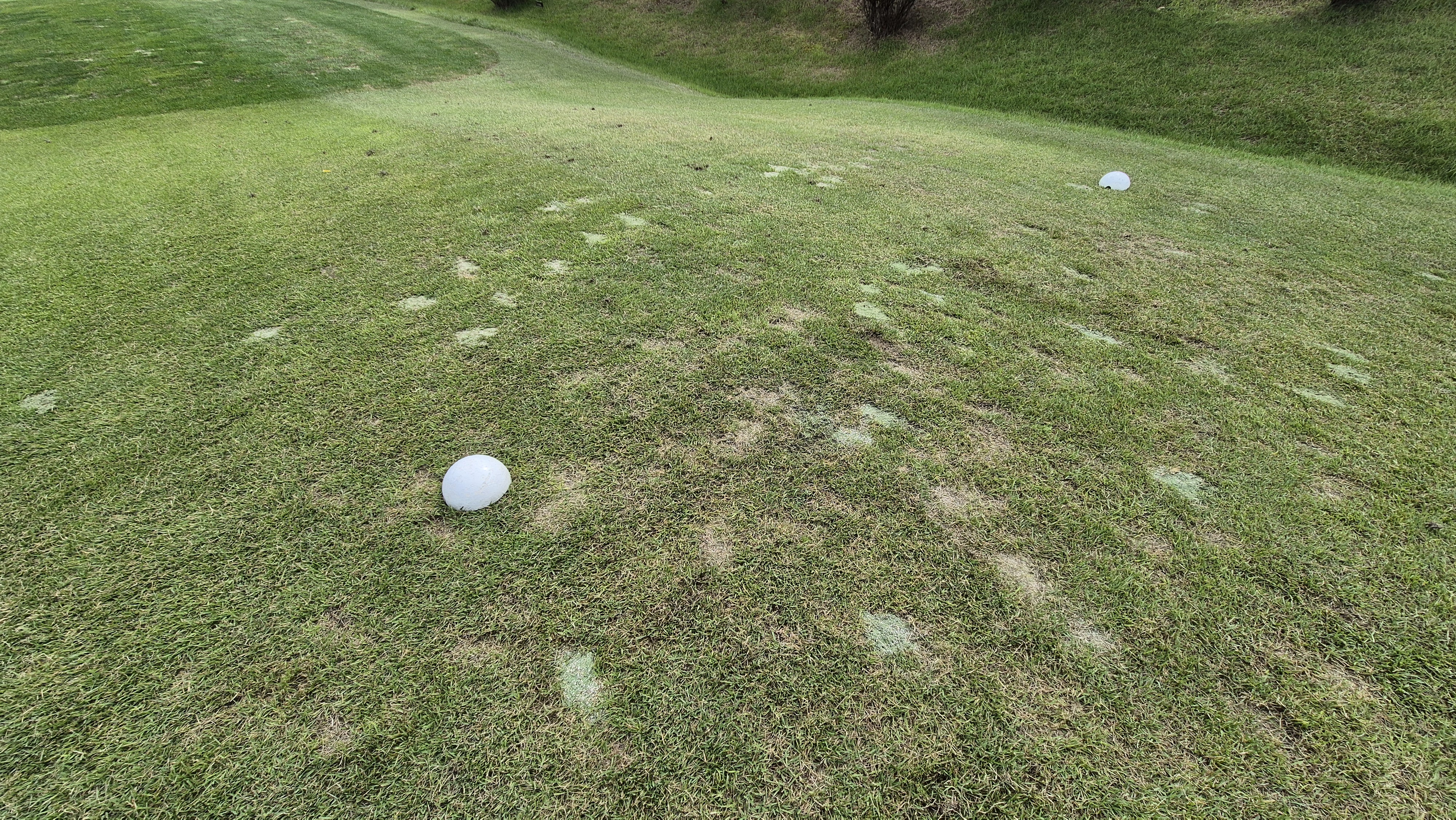 서산수cc 티잉구역 상태