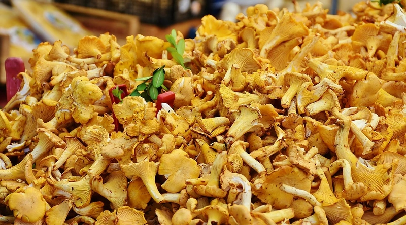 해외시장 진출의 필요성