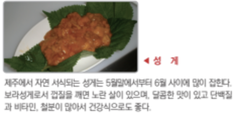 가파도 청보리 축제