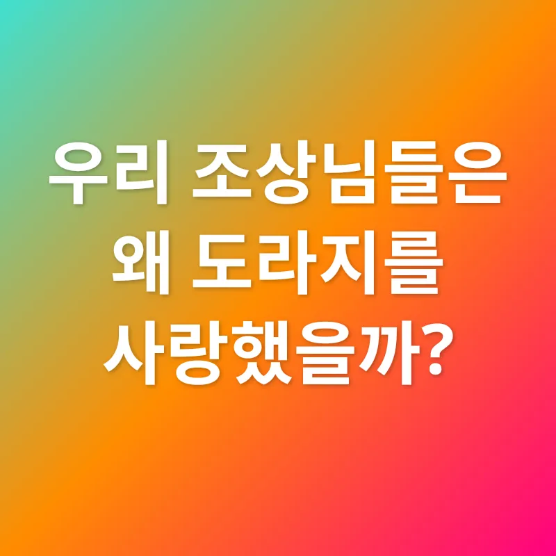 도라지 효능_1