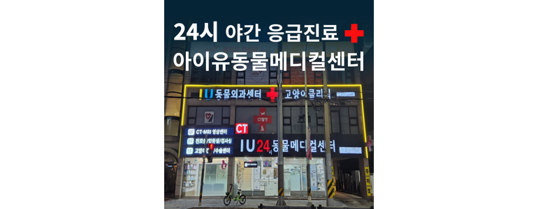 의정부시 동물병원