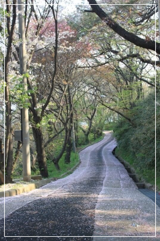 군산 가볼만한곳 베스트10 월명공원