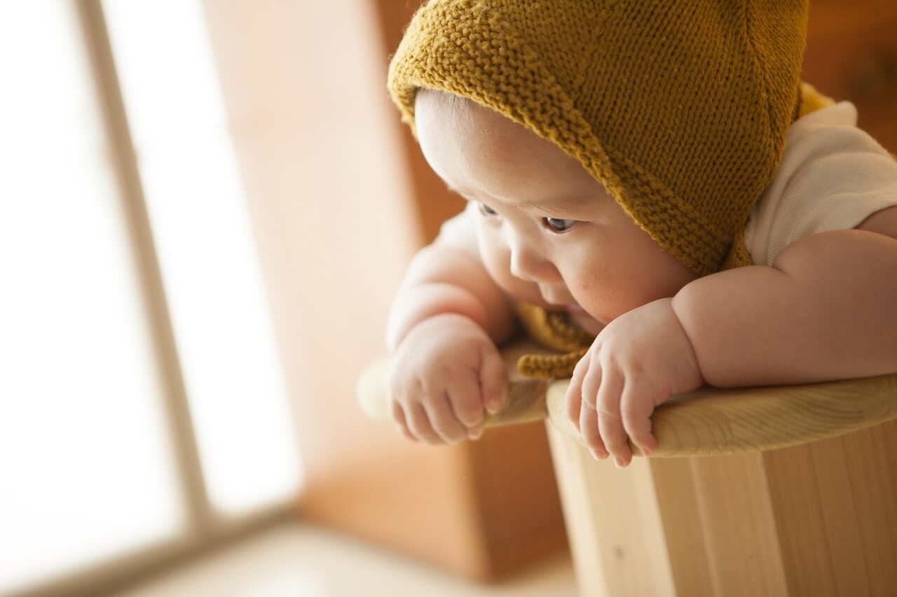 압타밀 프로푸트라 리콜 대상 확인 방법
